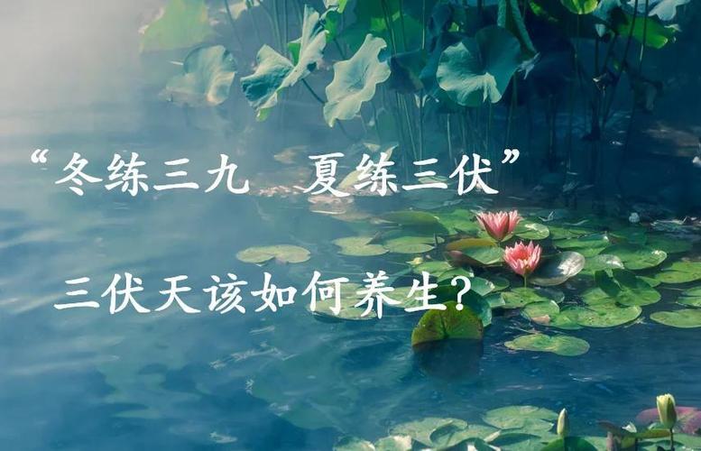 艾仲医