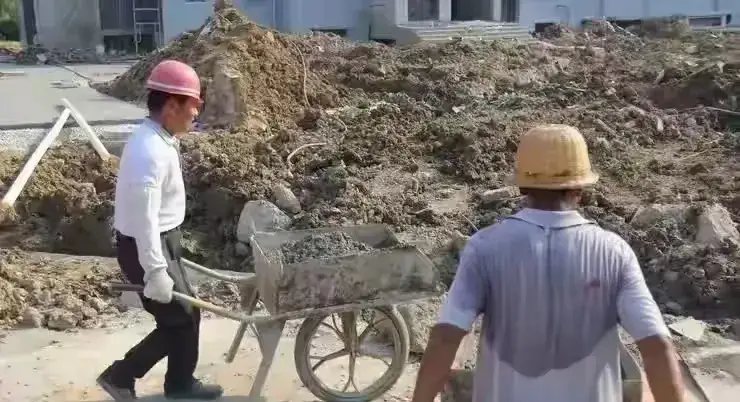 内容图片